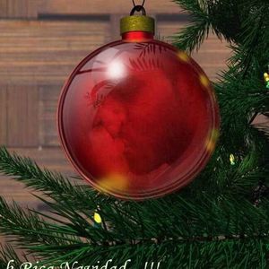 Meet your Posher, Nohemi lopez